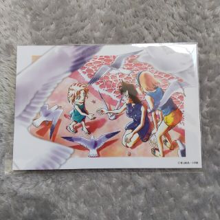 鳥取 限定【名探偵コナン】ポストカード・ハガキ・葉書・はがき 灰原哀 × 10枚