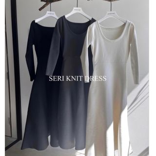 バースデーバッシュ(BIRTHDAY BASH)のbirthdaybash SERI KNIT DRESS ロングワンピース(ロングワンピース/マキシワンピース)