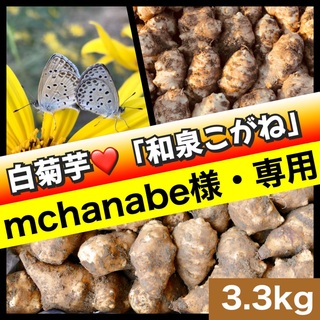 【mchanabe様・専用】菊芋（白菊芋&「和泉こがね」）〜3.3kg(野菜)