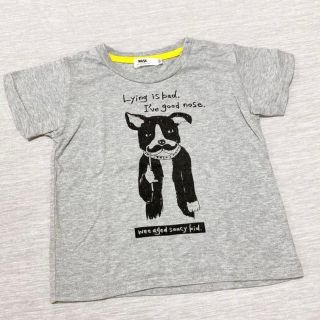 ワスク(WASK)のWASK Tシャツ(Tシャツ/カットソー)