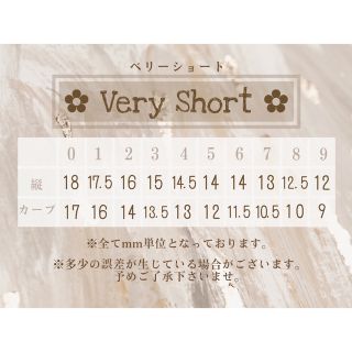 ネイルチップ【現品】【サイズオーダー】No.48 コスメ/美容のネイル(つけ爪/ネイルチップ)の商品写真