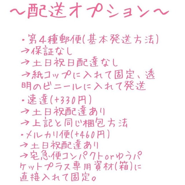 【追跡付き】桜大福アイス 葉挿し ① 未発芽未発根 多肉植物 レア 希少