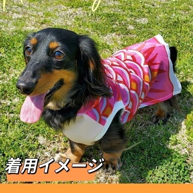 samurai11304521様 専用ページ【送料無料】 犬服 鯉のぼり🎏 ハンドメイドのペット(ペット服/アクセサリー)の商品写真