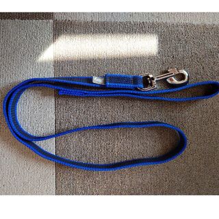 【マアム様専用】Julius-K9/スーパーグリップラバーリード、ブルー(リード/首輪)