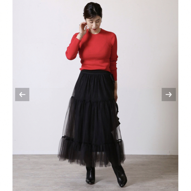 VERMEIL par iena(ヴェルメイユパーイエナ)のVERMEIL par iena チュールスカート レディースのスカート(ロングスカート)の商品写真