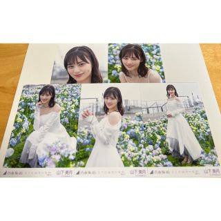 ノギザカフォーティーシックス(乃木坂46)の【2】【17】平野七星様 専用ページ(アイドルグッズ)