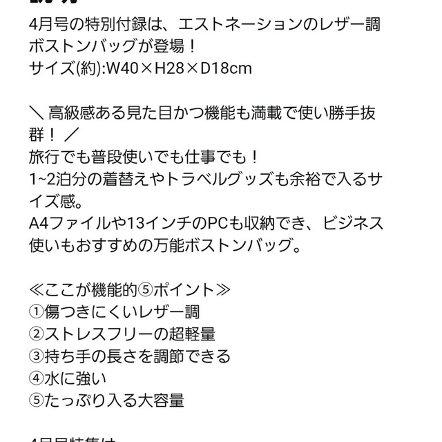 ESTNATION(エストネーション)のモノマックス付録エストネーションレザー調ボストンバック エンタメ/ホビーの雑誌(ファッション)の商品写真