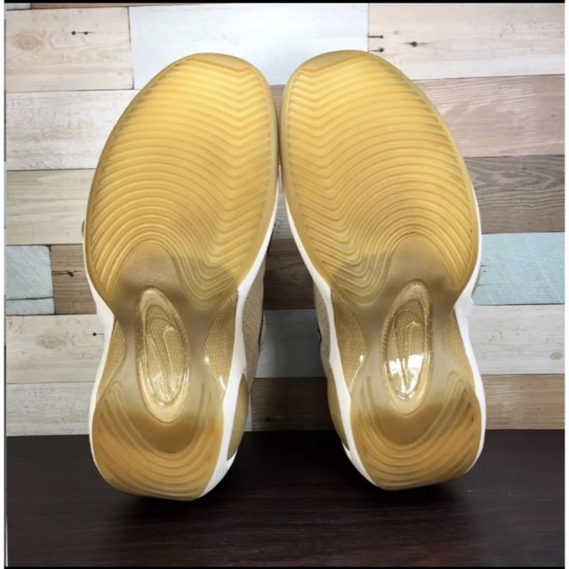 NIKELAB ZOOM FLIGHT 95 27.5cm | www.supremecourtbar.org.np