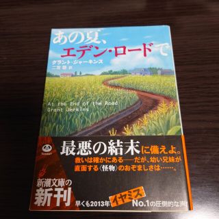 あの夏、エデン•ロードで(文学/小説)