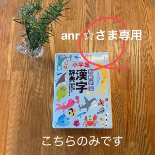 ショウガクカン(小学館)の【小学館】例解学習　国語辞典・漢字辞典の2冊セット(語学/参考書)