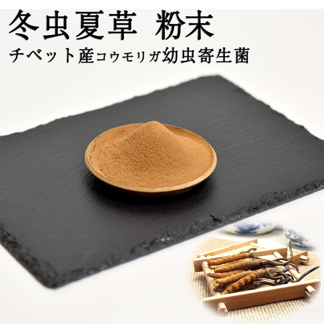 チベット冬虫夏草 粉末120g(コウモリガ幼虫寄生菌)-