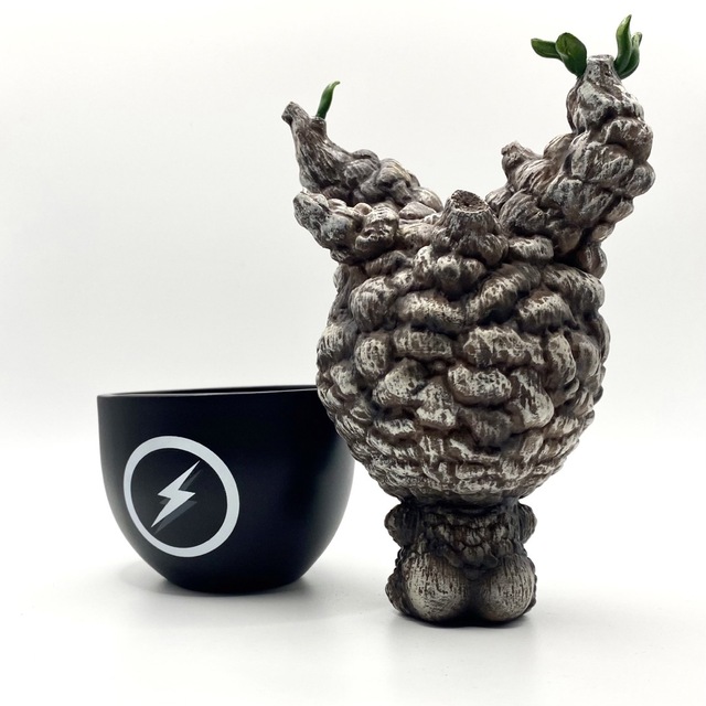 塊根植物フィギュア④の通販 by あべさん|ラクマ 塊根植物フィギュア④の通販 by あべさん|ラクマ