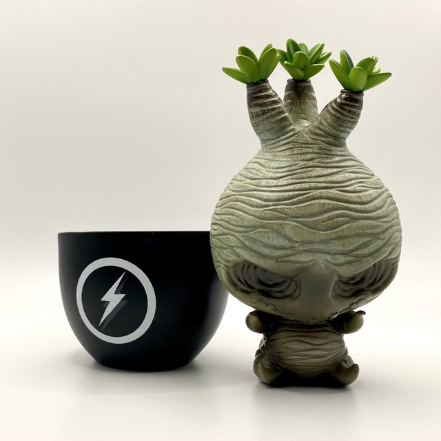 塊根植物フィギュア⑥