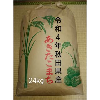 令和４年秋田県仙北産　あきたこまち　農家直送　２４kg(米/穀物)