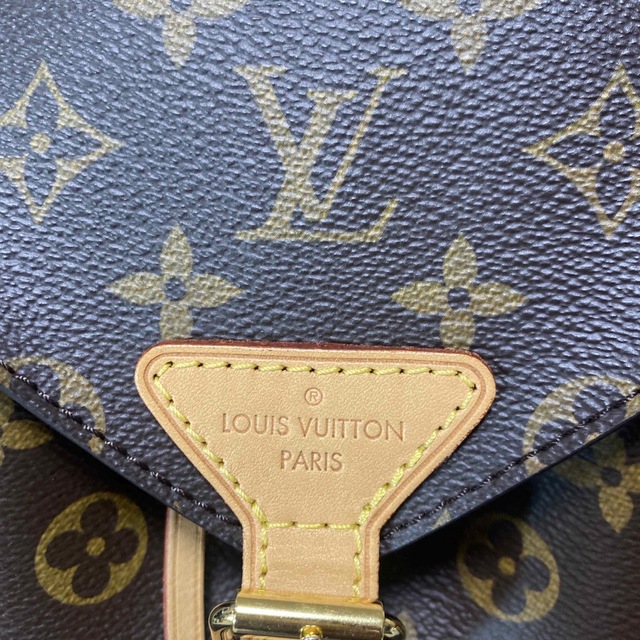 Louis vuitton bagpack