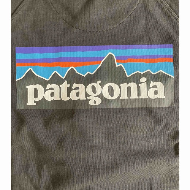 patagonia(パタゴニア)のパタゴニアP-6 ロゴ・オーガニック・クルー・スウェットシャツ　サイズS メンズのトップス(スウェット)の商品写真