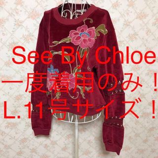 シーバイクロエ(SEE BY CHLOE)の★See By Chloe/シーバイクロエ★大きいサイズ！長袖カットソーL(カットソー(長袖/七分))