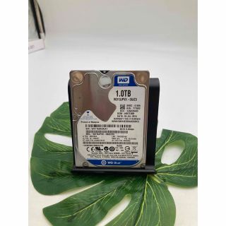 中古HDD 2.5インチ WD 1.0GB  SATA 内蔵ハードディスク (PCパーツ)