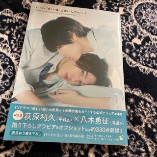 ＴＶドラマ「美しい彼」公式ビジュアルブック(その他)