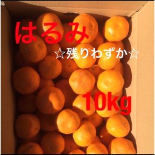 和歌山県産はるみ　10kg ☆残りわずか☆(フルーツ)