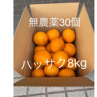 八朔 ハッサク 無農薬 8kg(フルーツ)