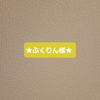 ★ぷくりん様専用★(その他)