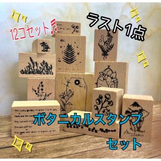 ☘️ボタニカルプラント ヴィンテージスタンプ 12個入り ハンドメイド 植物☘️(はんこ)