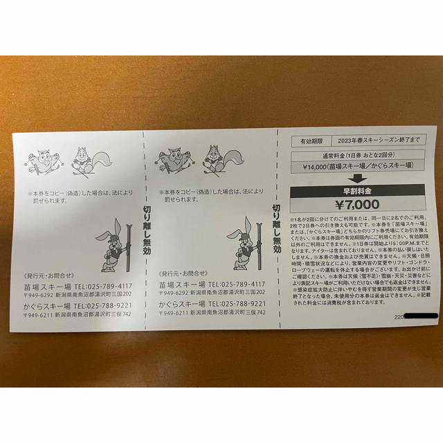 苗場・かぐらスキー場　引換券　一日券2枚 チケットの施設利用券(スキー場)の商品写真