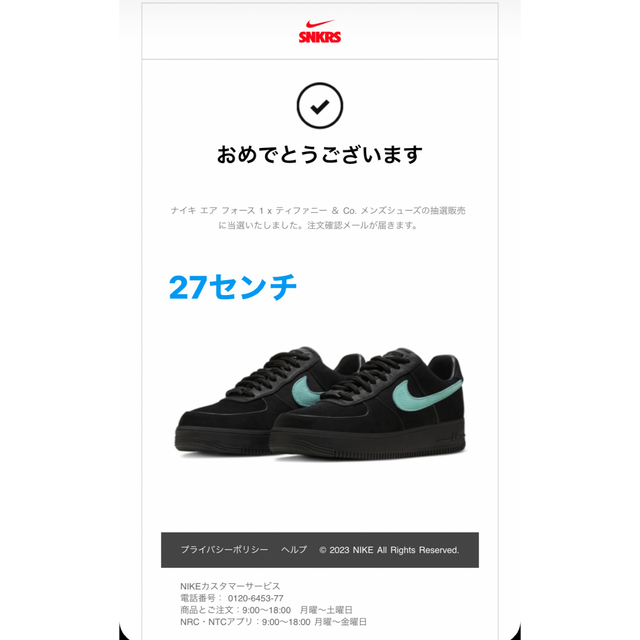 NIKE エアフォース1 ティファニー 27.5センチ | academiadevendasmb.com.br
