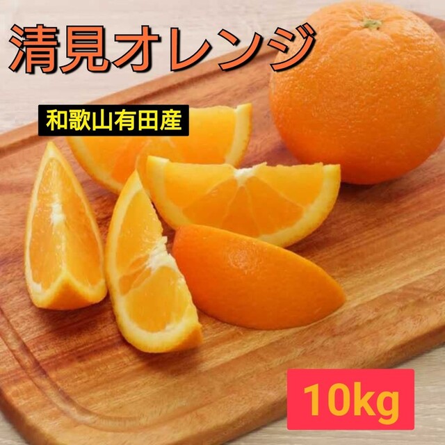 甘さ抜群！！有田 清見オレンジ 10kg 訳あり 食品/飲料/酒の食品(フルーツ)の商品写真