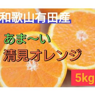 清見オレンジ  和歌山有田産 5kg サイズ混合(フルーツ)