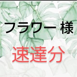 ♦速達 ユーカリカット枝(その他)