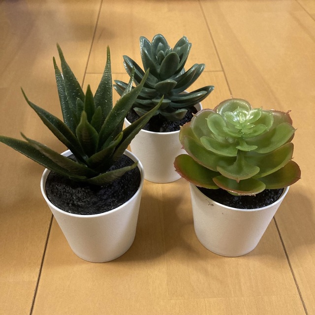 IKEA(イケア)の【新品❗️】イケア フェイカ 人工観葉植物 鉢カバー付き 6 cm 3ピース インテリア/住まい/日用品のインテリア小物(その他)の商品写真