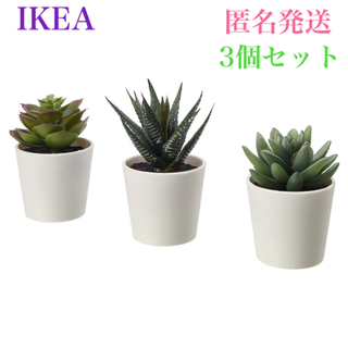 イケア(IKEA)の【新品❗️】イケア フェイカ 人工観葉植物 鉢カバー付き 6 cm 3ピース(その他)