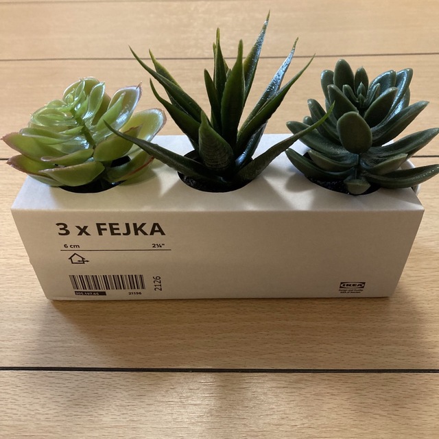 IKEA(イケア)の【新品】イケア フェイカ 人工観葉植物 鉢カバー付き6 cm 3ピース×2セット インテリア/住まい/日用品のインテリア小物(その他)の商品写真