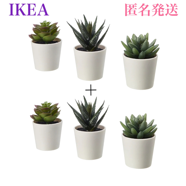 IKEA(イケア)の【新品】イケア フェイカ 人工観葉植物 鉢カバー付き6 cm 3ピース×2セット インテリア/住まい/日用品のインテリア小物(その他)の商品写真