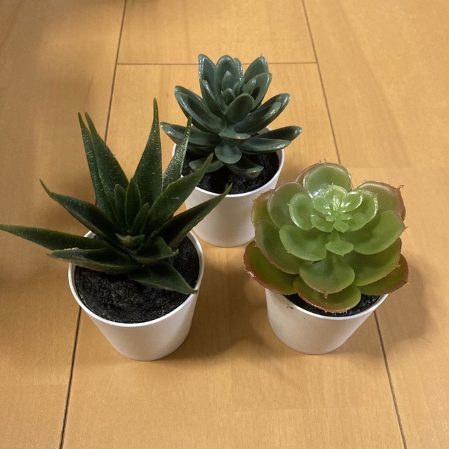 IKEA(イケア)の【新品】イケア フェイカ 人工観葉植物 鉢カバー付き6 cm 3ピース×2セット インテリア/住まい/日用品のインテリア小物(その他)の商品写真