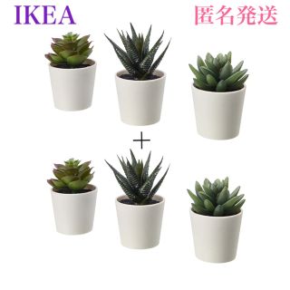 イケア(IKEA)の【新品】イケア フェイカ 人工観葉植物 鉢カバー付き6 cm 3ピース×2セット(その他)