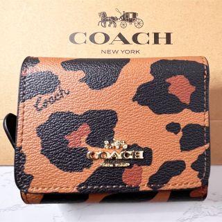 sale　新品 コーチ 三ツ折財布 レオパード柄 Coach 正規品　ショッパー