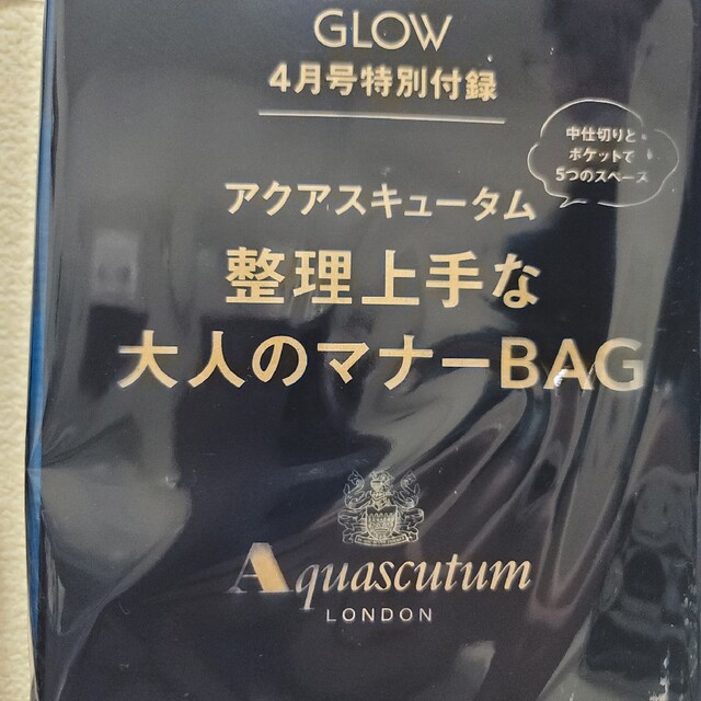 宝島社(タカラジマシャ)のGLOW 4月号 付録のみ レディースのバッグ(トートバッグ)の商品写真