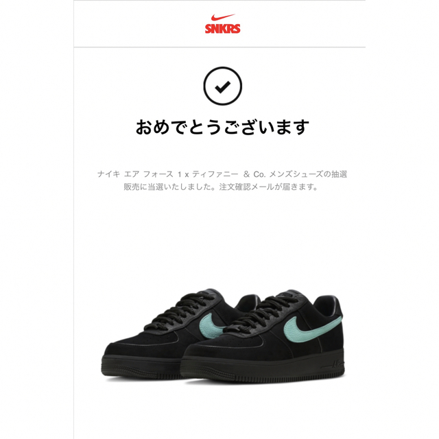 エアフォース1 ティファニーNike x Tiffany & Co.1 26cm