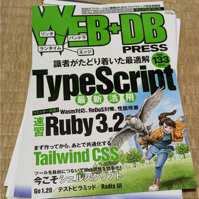 裁断済み) ＷＥＢ＋ＤＢ ＰＲＥＳＳ Vol.133 - その他