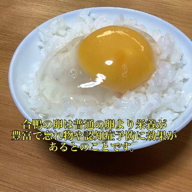 2 岡山県産 平飼い有精卵 合鴨の卵 8個 食品/飲料/酒の食品(その他)の商品写真