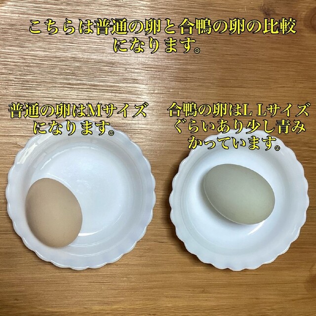 2 岡山県産 平飼い有精卵 合鴨の卵 8個 食品/飲料/酒の食品(その他)の商品写真