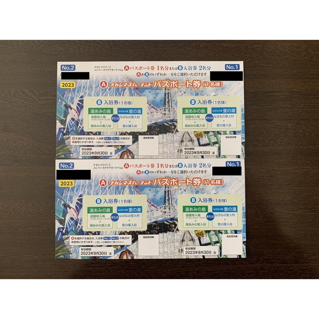 ナガシマスパーランド　パスポート券　2枚セット チケットの施設利用券(遊園地/テーマパーク)の商品写真