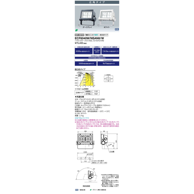 岩崎電気 ECF6040W/NSAN8/W LED投光器レディオックフラッドネオ