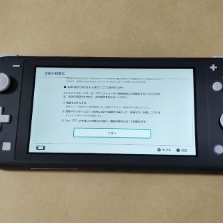 Nintendo Switch - 本体のみ 動作正常 Nintendo Switch Lite グレー