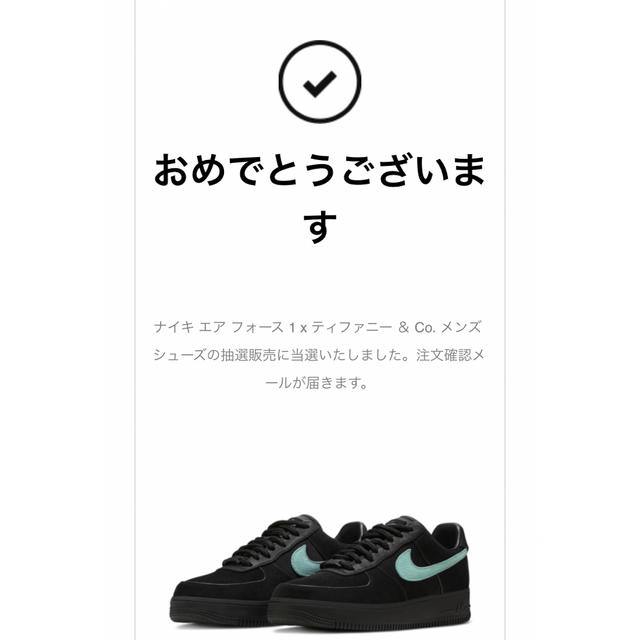 メンズNIKE × Tiffany & Co.  エアフォース１　27.5㎝