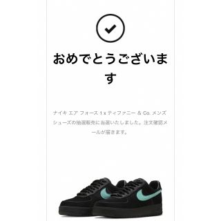 NIKE × Tiffany & Co.  エアフォース１　27.5㎝(スニーカー)