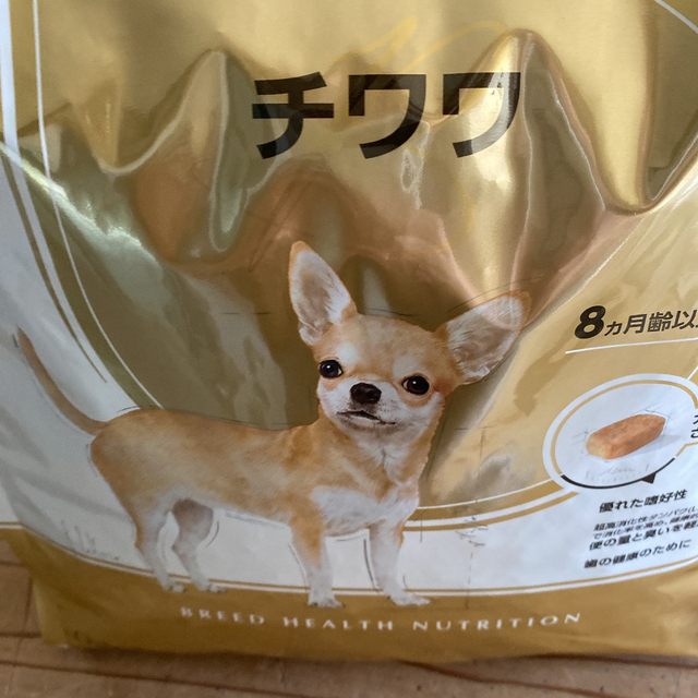 チワワ成犬　ご専用